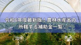 令和6年度最新農林水産省所轄補助金