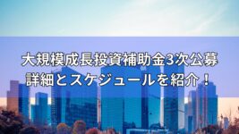 大規模成長投資補助金　概要