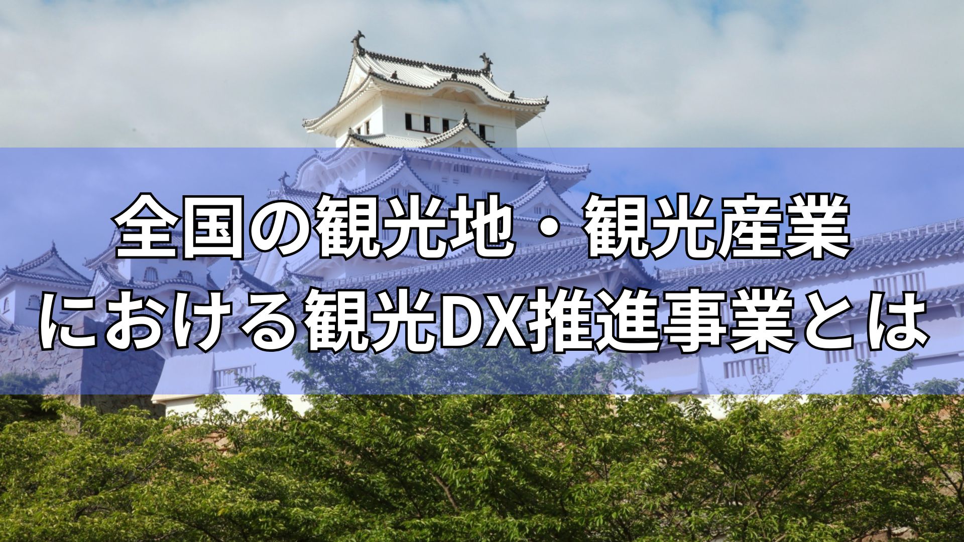 全国の観光地・観光における観光DX推進事業