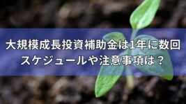 大規模成長投資補助金　スケジュール　注意事項は