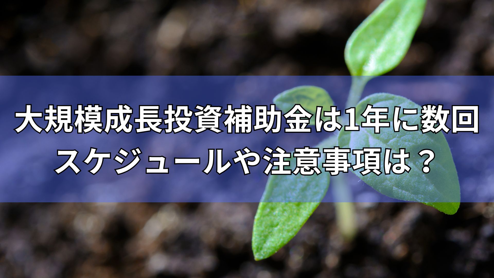 大規模成長投資補助金　スケジュール　注意事項は